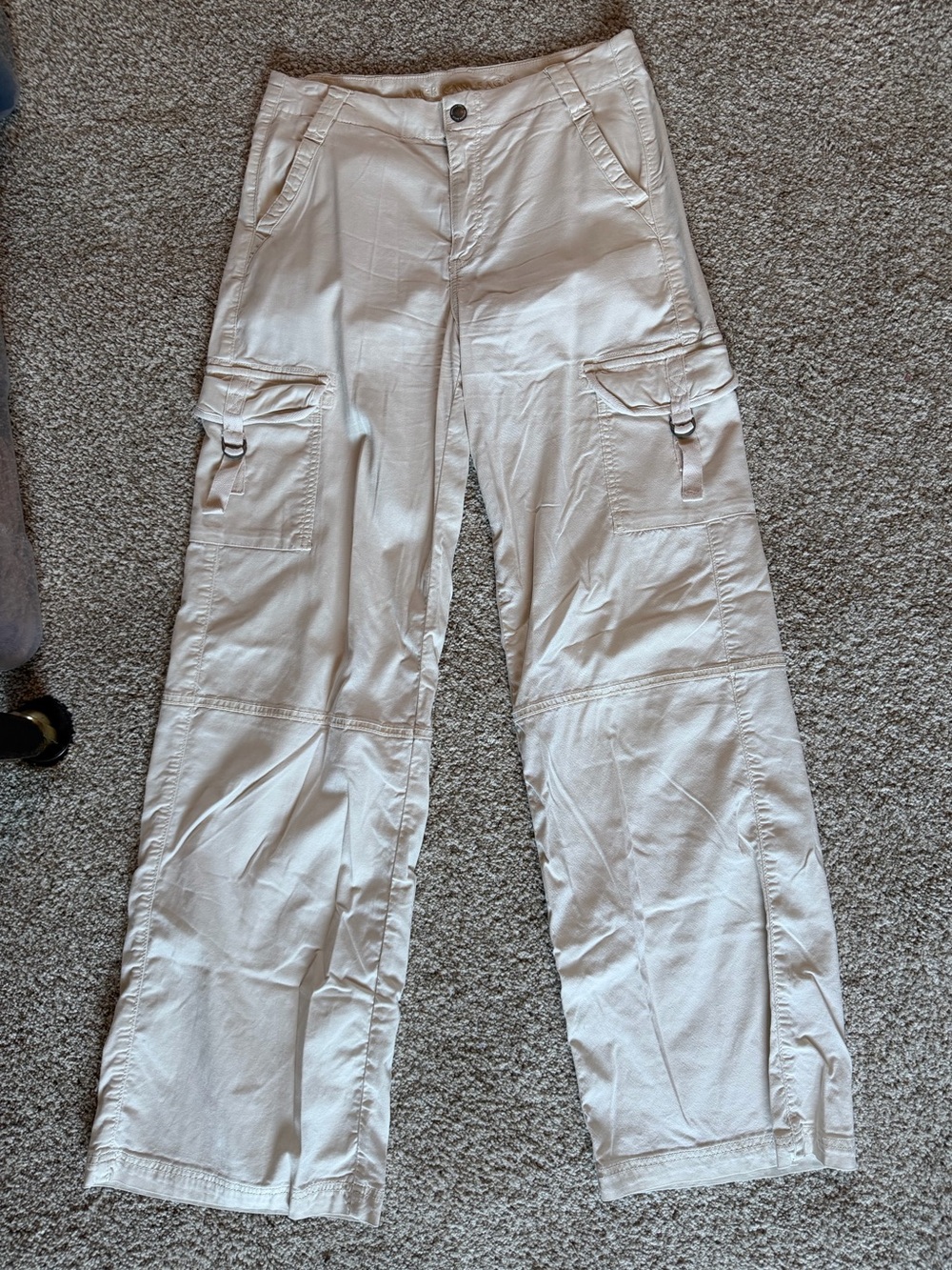 American Eagle Outfitters Beige Stretch Cargo Pants sz 4L